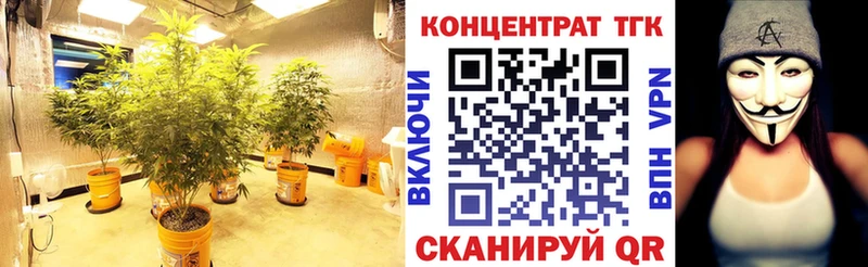 OMG как войти Михайловск Дистиллят ТГК концентрат